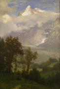 Albert Bierstadt View of Wetterhorn from the Valley of Grindelwald oil